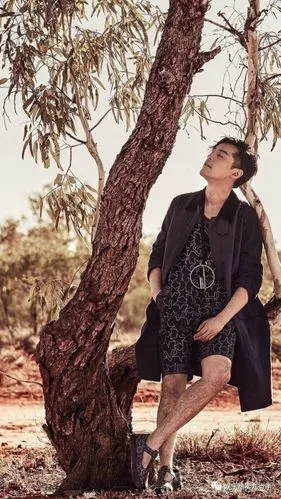 从胡歌王俊凯到高晓松,男明星的腿你都注意过吗?