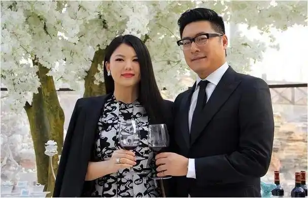 离婚不到1年,李湘与王岳伦,人生差距天差地别