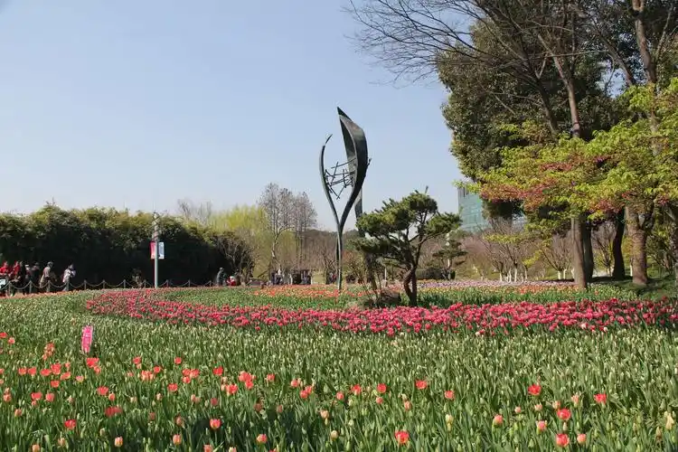 邀您同赏郁金香(上海大宁公园第五届郁金香展)