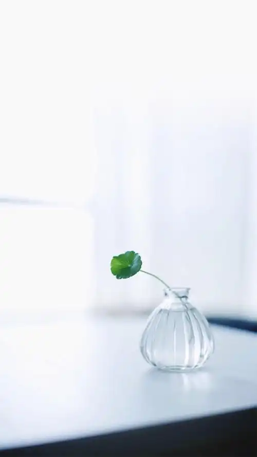 简约小清新唯美高清手机壁纸图片