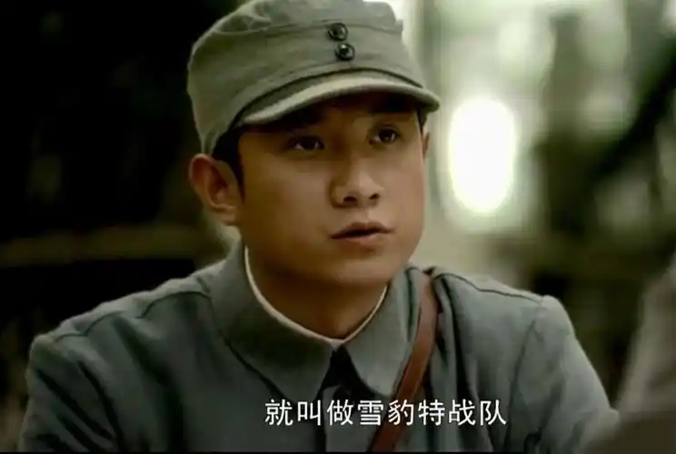 国内十大必看电视剧(盘点十部值得反复观看的国产电视剧)-四五百科