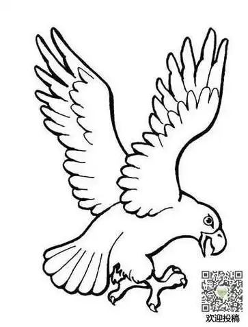 画老鹰怎么画简笔画