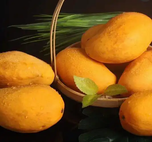 缅甸圣德龙芒果 单果约260g 入口舒滑爽口,肉厚核小