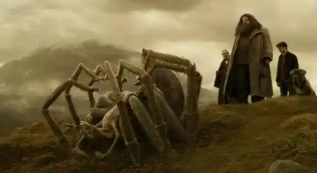 禁林中海格的宠物八眼巨蛛:守护银行古灵阁的妖精:那《哈利·波特》中