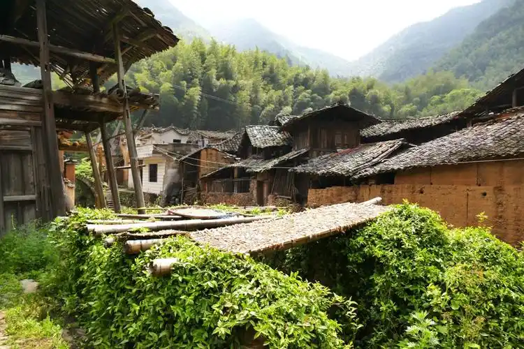 天马旅行.景尚国旅 松阳摄摄影考察采风之旅004 三都乡松庄村掠影