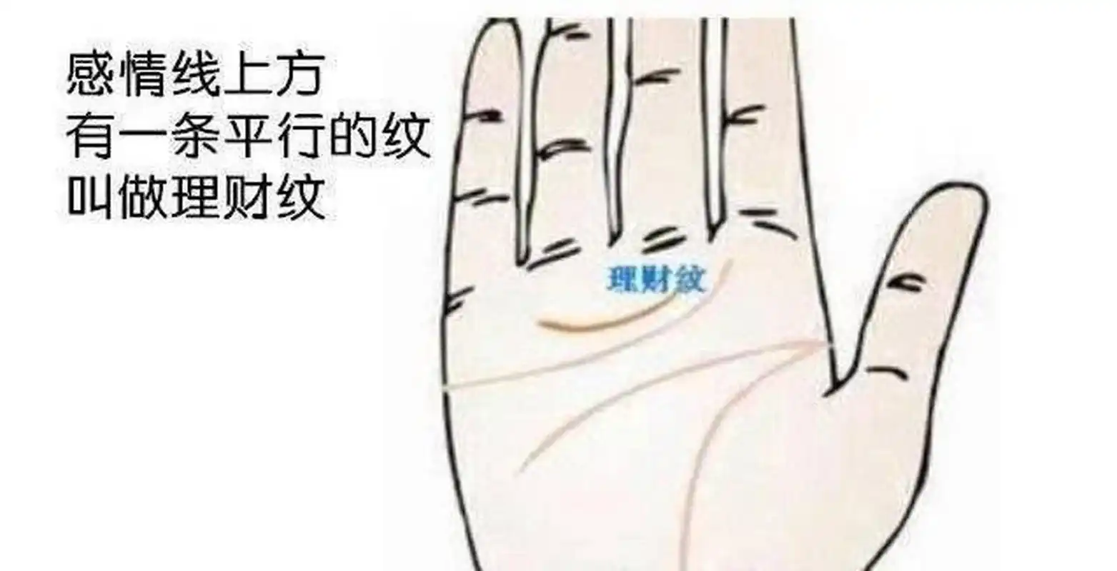 富贵手相图片  钱财纹  钱财文就是指手掌中间的一条手纹线,在无名指