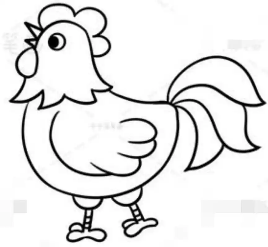 公鸡简笔画 公鸡简笔画