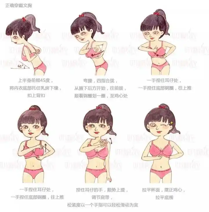 蜜诺正确穿内衣方法