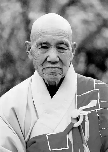 "种菩提心,修菩萨行"的宏林老和尚(图1)