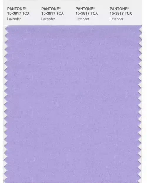 2019神仙色"香芋紫"火了!拜拜吧牛油果色_紫色