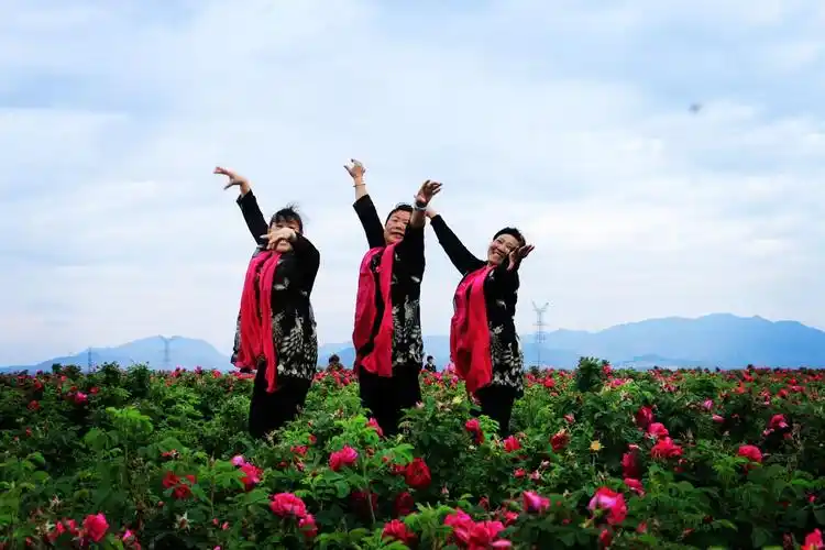 广场舞大妈的丝巾情节