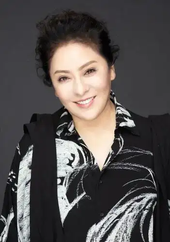 褪去女强人的光环向太陈岚或许只是一个操心的管家婆