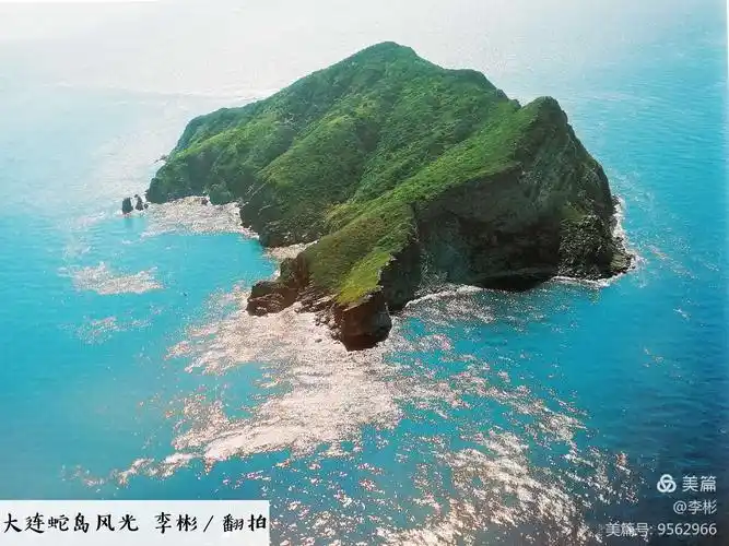 大连蛇岛---徽章映芳华