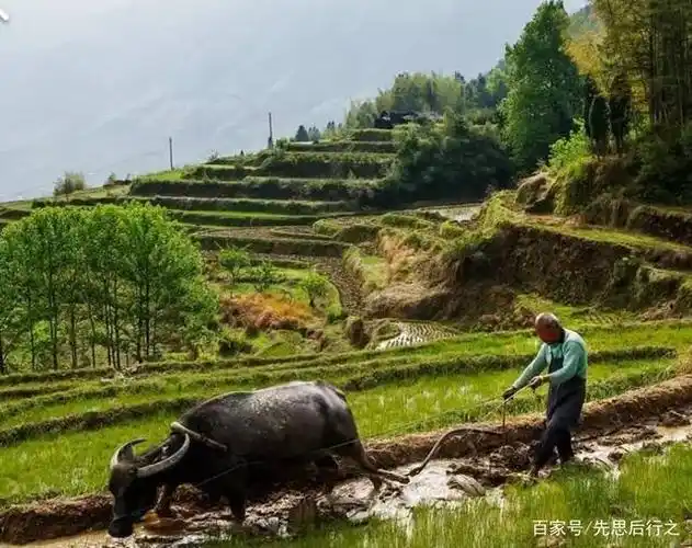 原始的耕田方式