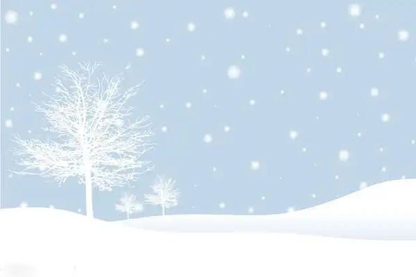 三张绿色淡雅植物图案ppt背景图片