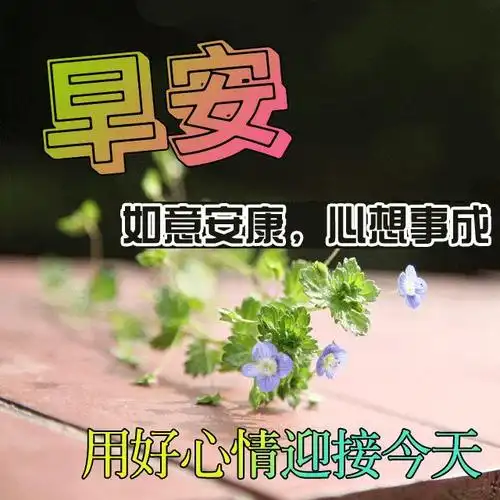 美好温馨的早上好问候祝福语,新的一天问候朋友的早安图片带字 - 知乎