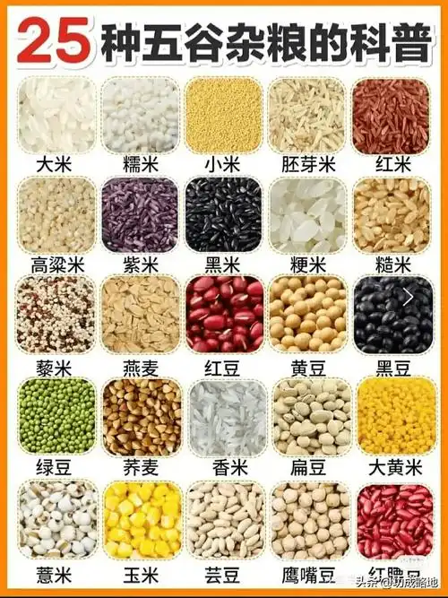 美食与养生:25种五谷杂粮科普,让你吃得更健康,更美味