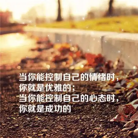 有哲理的文字图片