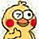 萌翻天的小黄鸡,原来不是鸡而是鹦鹉,可爱表情包收藏起来