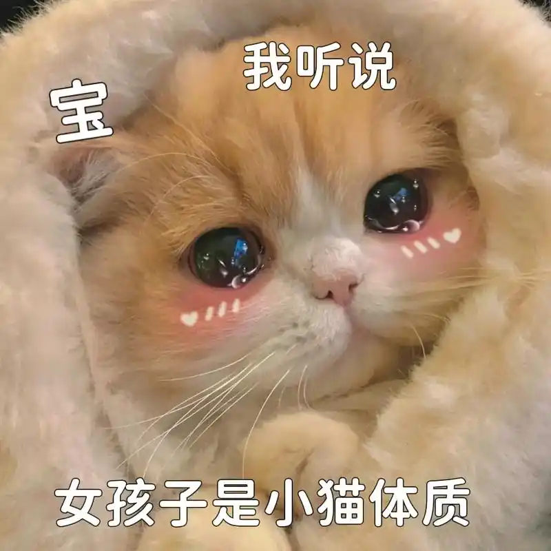 女孩子是小猫体质,越被宠越可爱,越被爱越听话 #猫咪表情包  - 抖音