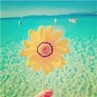 微信头像小清新向日葵_向日葵的小清新很好看【点击鼠标右键下载】