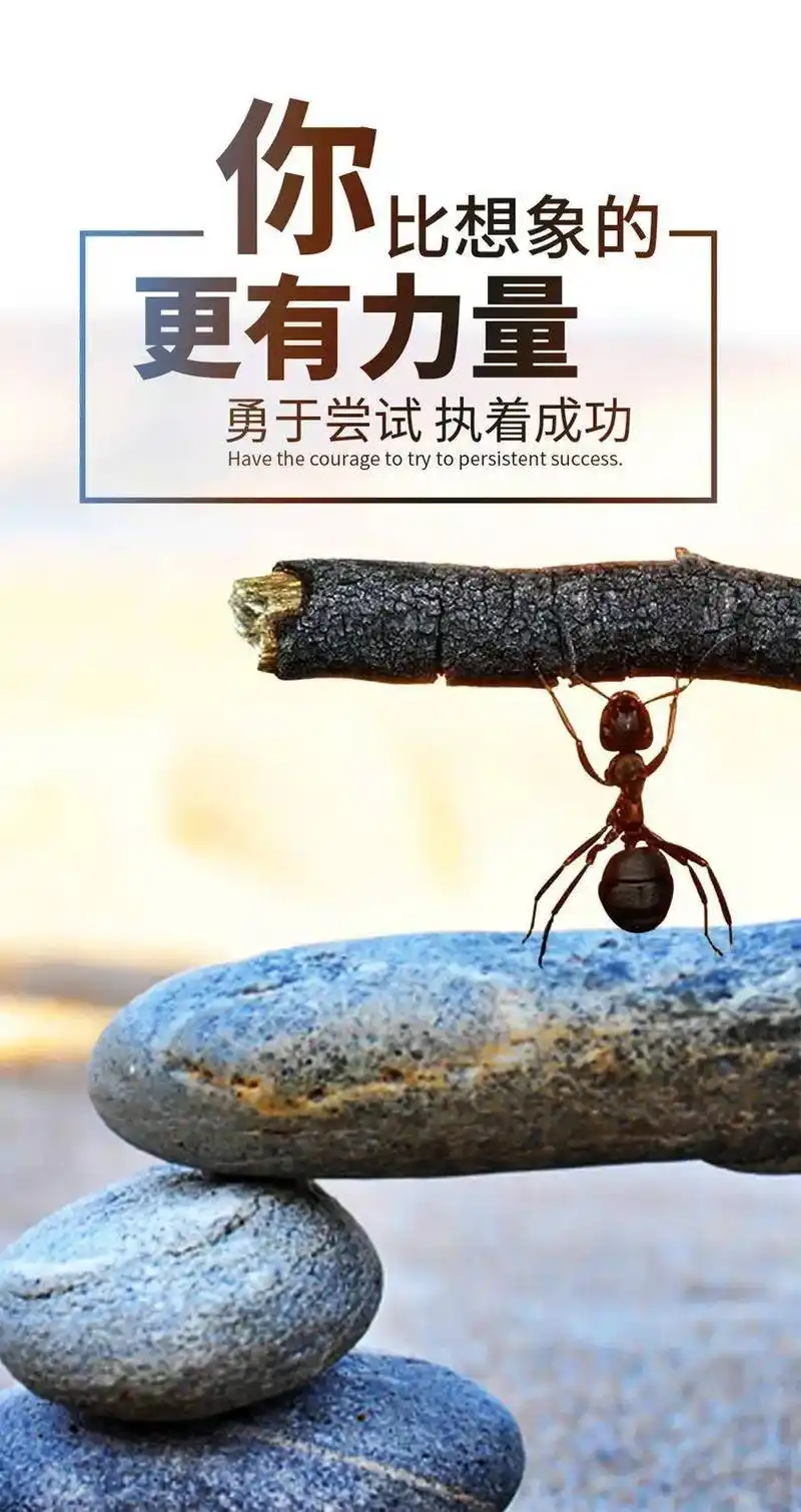 每天发朋友圈必备的走心名言 最新乐观向上的励志图片带字