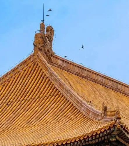 故宫屋顶不落鸟这是真的吗只是传言