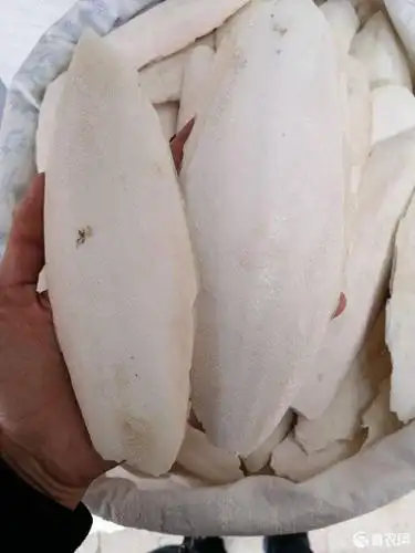 印度墨鱼骨进口清关不怕不怕啦,超级简单