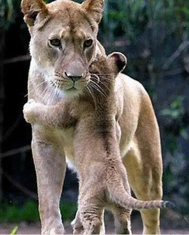 感动了无数人的亲情照片,太美了