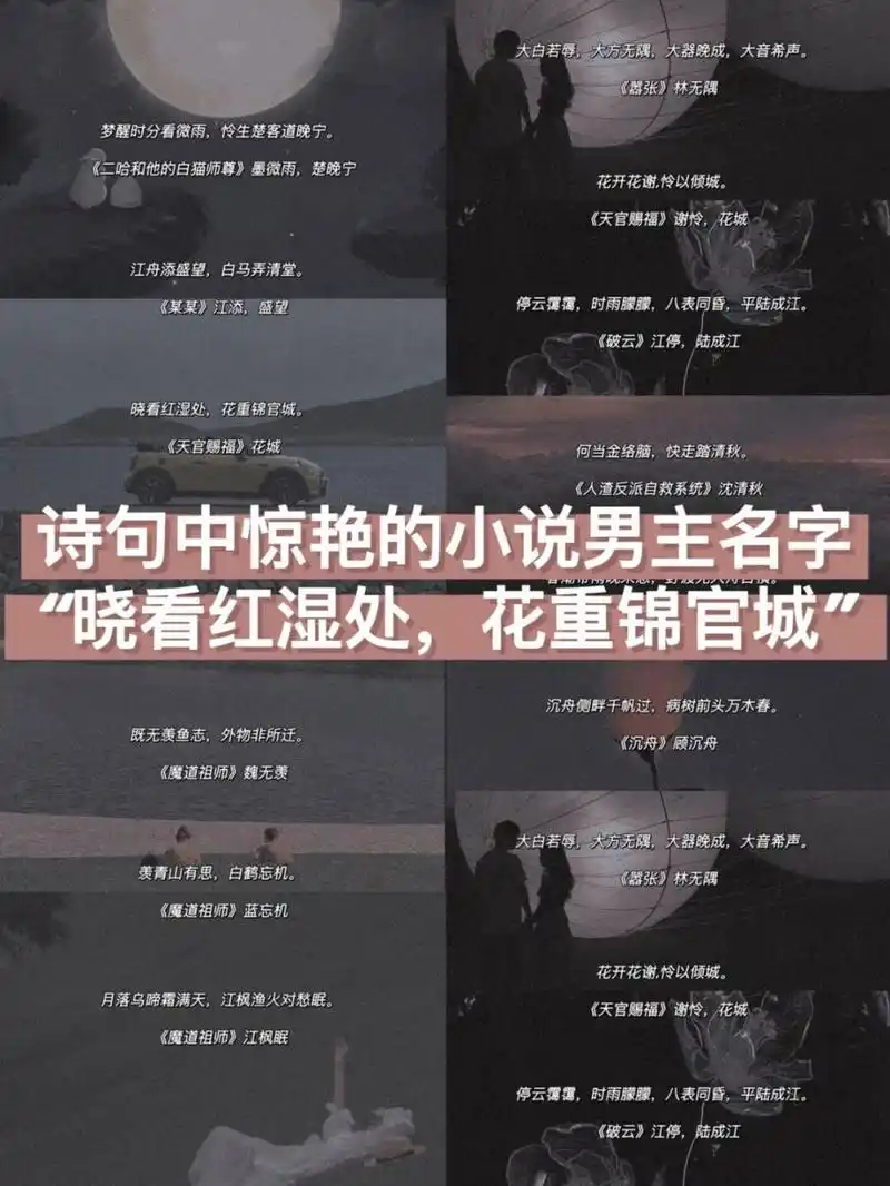 97诗句中那些惊艳的小说男主名字～ 78 梦醒时分看微雨,怜生楚客