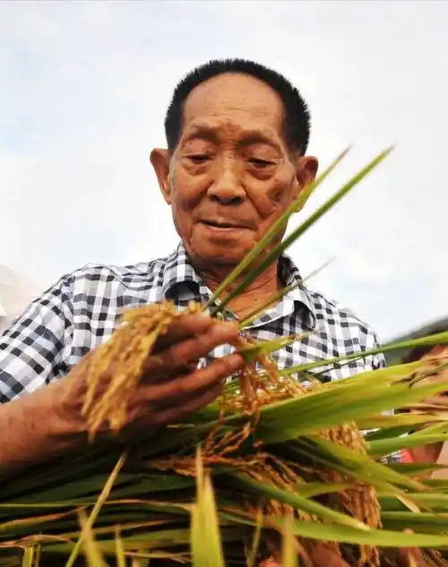 "国士无双"的袁隆平,子女都是做什么的?是否继承了父业?