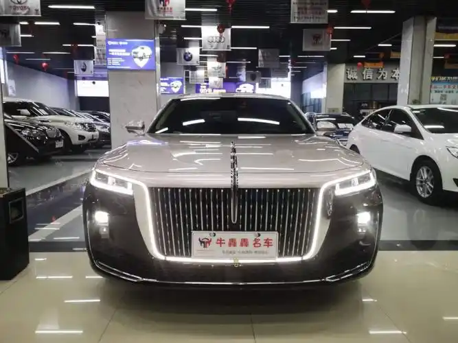 红旗 红旗h9  2021款 2.5t 公务版图片