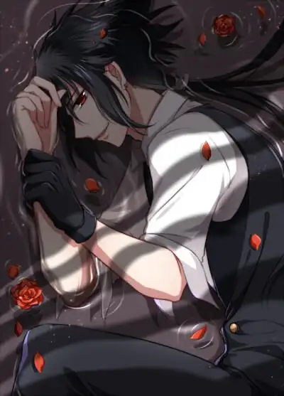 宇智波斑 宇智波鼬 宇智波止水 宇智波佐助 宇智波泉奈 宇智波带土 宇