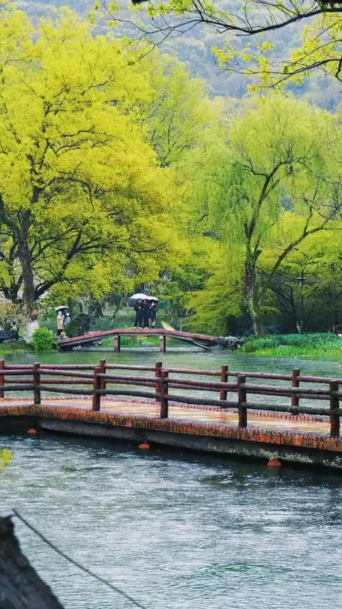 下雨天的太子湾公园