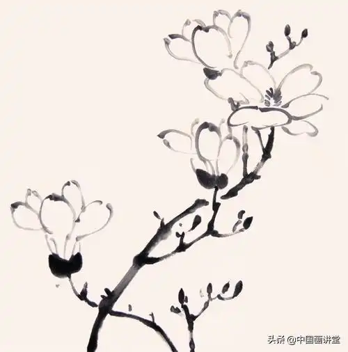 写意玉兰画法两例|玉兰花|枝干|浓墨|花苞_网易订阅