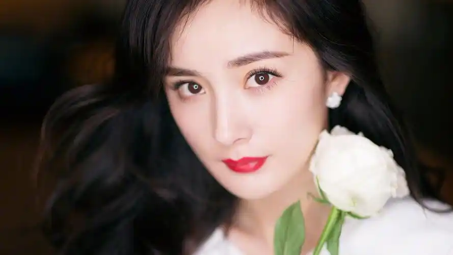 明星风尚杨幂壁纸5