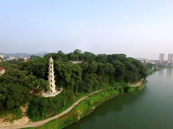 三生三世百里桃江,这个春天,一头扎进"美人窝"