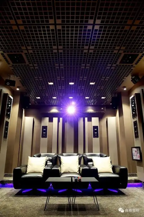 音乐厅,一个专业家庭影院兼卡拉ok的影院房,以及七个音响效果逼真的