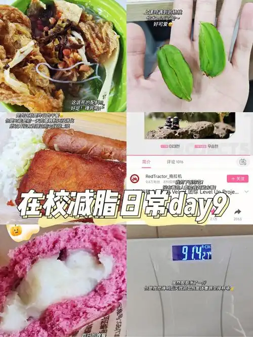 3身高162-94放纵餐(螺蛳粉)后饮食午餐99:鸡扒热狗饭(饭只吃三分