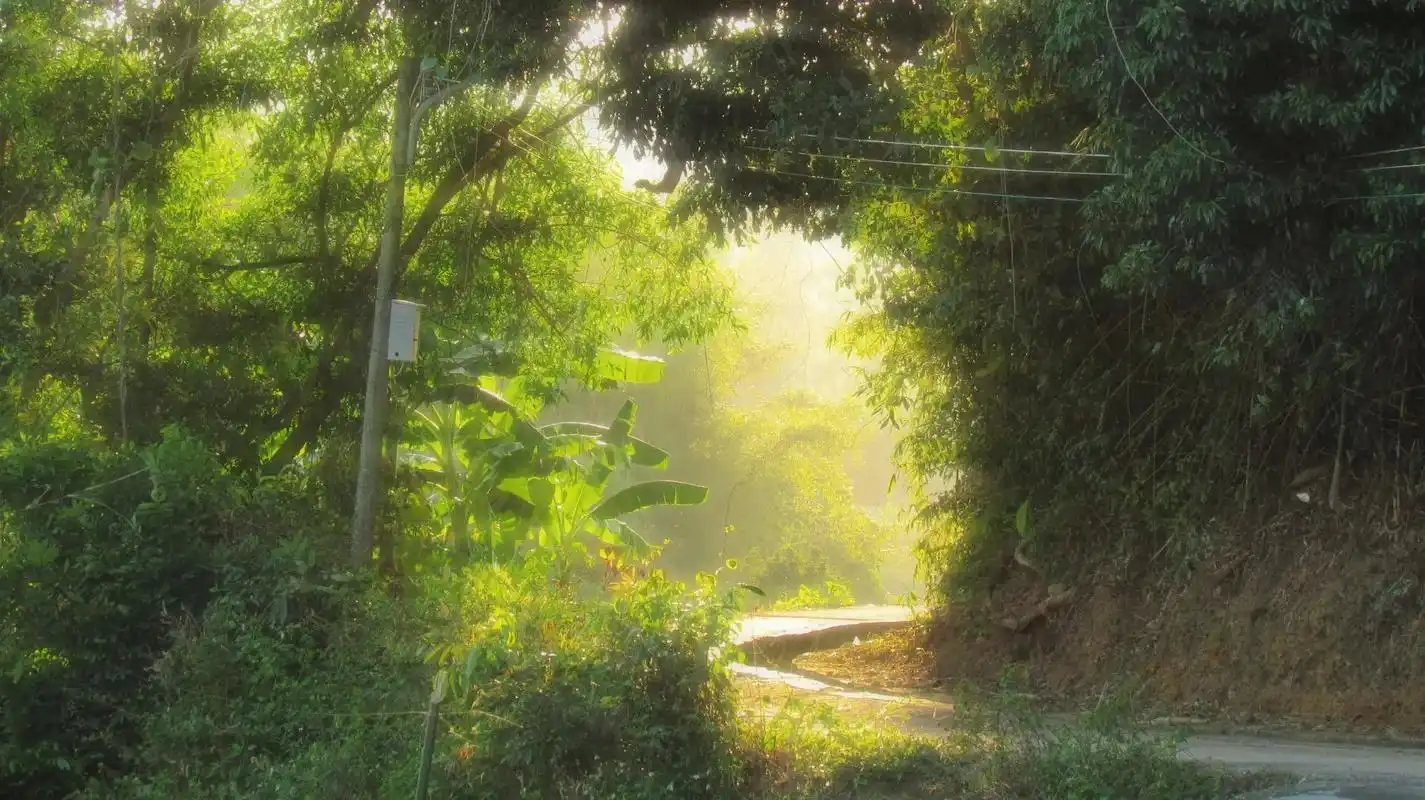 摄影 #乡村风景自然美  - 抖音