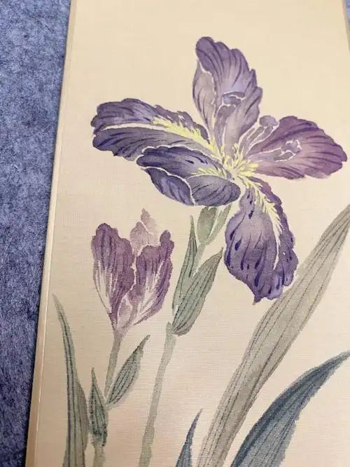 国画没骨鸢尾花