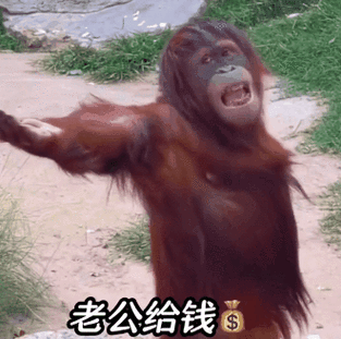 表情包##表情包无水印##搞笑表情包