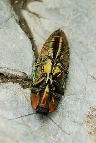 08六一儿童节-东部华侨城(2) - mojostudio的日志 - 网易博客