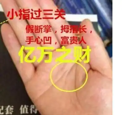 这处的手纹越乱命越好定财运滚滚定都是富贵人易大富大贵