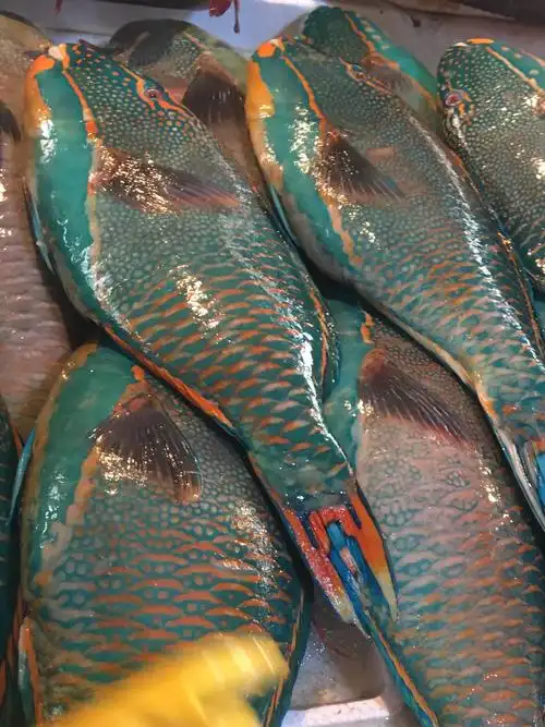 这是在海南菜市场看到的鱼,请问是什么鱼