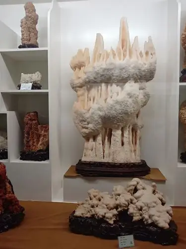 参观奇石博物馆