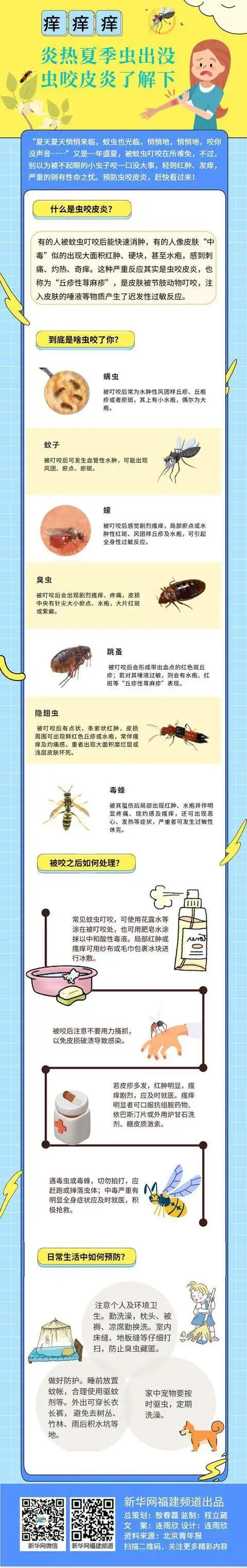 「健康解码」痒痒痒!炎热夏季虫出没,虫咬皮炎了解下