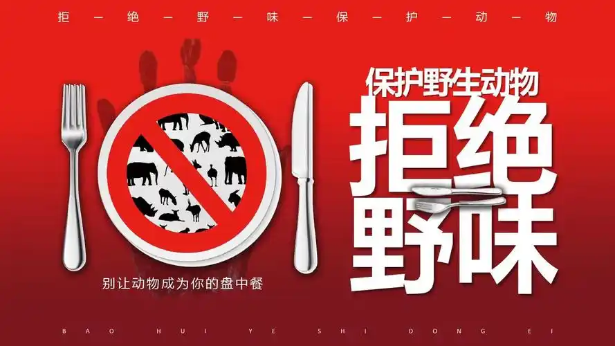 2020保护野生动物人人有责公益宣传ppt