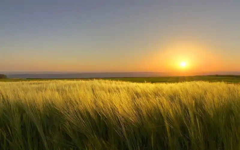 一个阳光明媚的日子结束-照片高清壁纸 - 1280x800 壁纸 下载