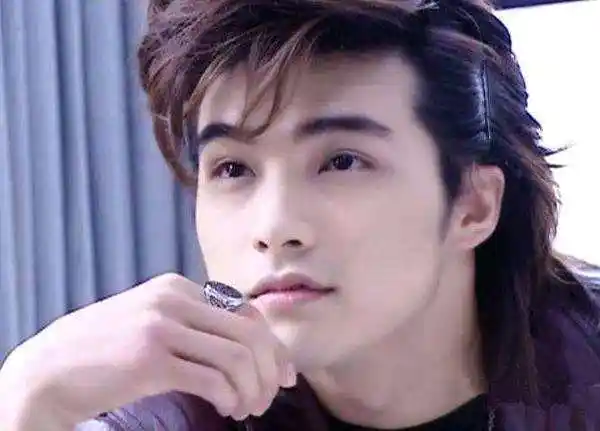 是中国台湾知名男演员,凭借其超高的颜值,一度被称为"台湾偶像剧一哥"